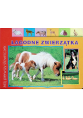 Łagodne zwierzątka Mój pierwszy słowniczek