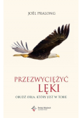 Przezwyciężyć lęki
