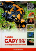Encyklopedia ilustrowana. Gady, płazy i ryby
