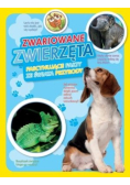 Fascynujące fakty ze świata przyrody. Zwariowane zwierzęta