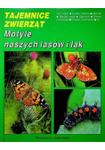 Tajemnice zwierząt Motyle naszych lasów i łąk