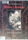 Pole magnetyczne