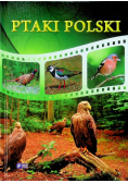 Ptaki Polski