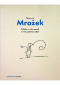 Polska w obrazach i inne polskie cykle