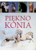 Piękno konia