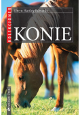 Konie