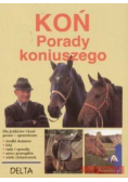 Koń porady koniuszego