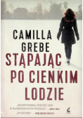Stąpając po cienkim lodzie