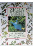 Zioła w ogrodzie w doniczce