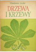 Drzewa i Krzewy