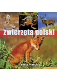 Zwierzęta polski