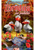 Skóra