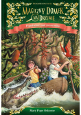 Magiczny domek na drzewie Popołudnie nad Amazonką