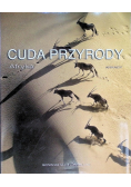 Cuda przyrody Afryka