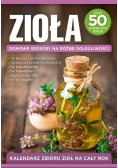Zioła Domowe sposoby na różne dolegliwości