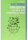 Ziarna bogactwa