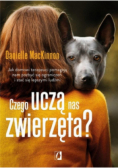 Czego uczą nas zwierzęta