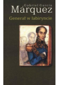 Generał w labiryncie