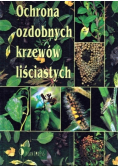 Ochrona ozdobnych krzewów liściastych