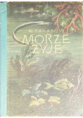Morze żyje