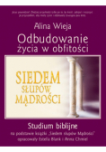 Odbudowanie życia w obfitości