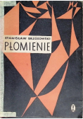 Płomienie
