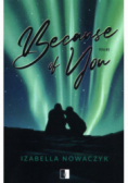 Because of You Tom 1
