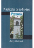 Kapliczki przydrożne Poznań