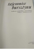 Tajemnice bursztynu