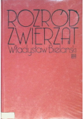 Rozród zwierząt