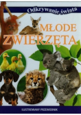 Młode zwierzęta Ilustrowany przewodnik