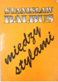 Między stylami