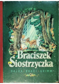 Braciszek Siostrzyczka