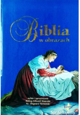 Biblia w obrazach