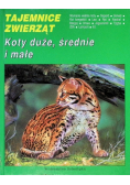Tajemnice zwierząt Koty duże średnie i małe