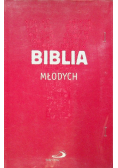 Biblia młodych Youcat