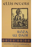 Róża w Dani