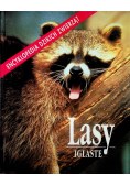Lasy Iglaste