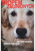 Tropem zaginionych