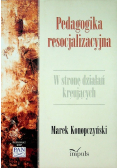 Pedagogika resocjalizacyjna