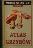 Atlas grzybów