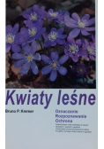 Kwiaty leśne