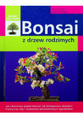 Bonsai z drzew rodzimych