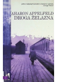 Droga żelazna
