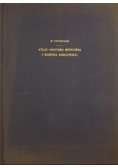 Atlas anatomii mózgowia i rdzenia kręgowego