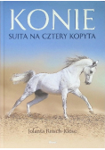 Konie Suita na cztery kopyta