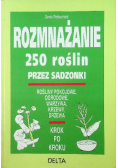 Rozmnażanie 250 roślin przez sadzonki