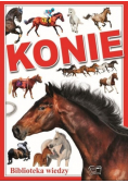 Konie