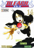 Bleach Tom 14