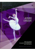 Jezioro łabędzie